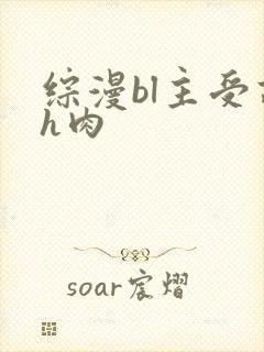 综漫bl主受高h肉