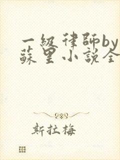 一级律师by木苏里小说全文免费阅读