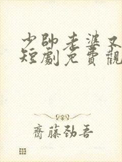 少帅老婆又跑了短剧免费观看高清