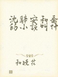 沈辞安和乔若兮的小说叫什么名字