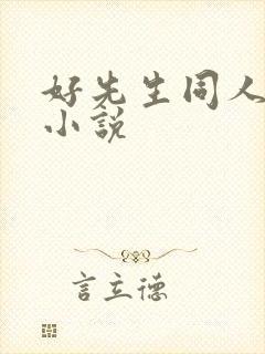 好先生同人改编小说