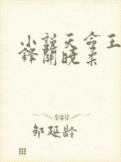 小说天命王侯金锋关晓柔