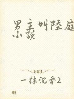 男主叫陆庭舟的小说