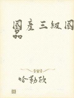 国产三级国内精品