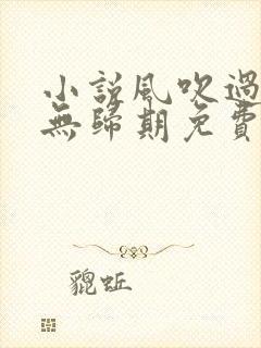 小说风吹过,再无归期免费阅读
