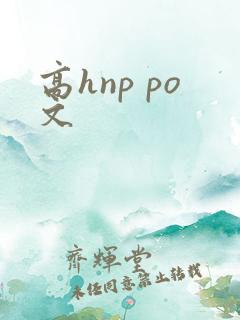 高hnp po文