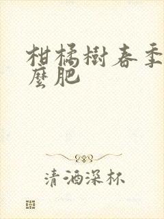 柑橘树春季施什么肥