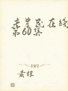 老农民在线观看第60集