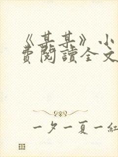 《某某》小说免费阅读全文