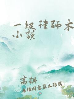 一级律师木苏里小说