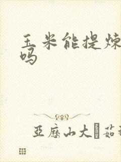 玉米能提炼黄金吗