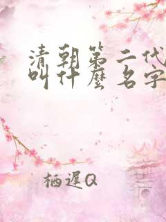 清朝第二代皇上叫什么名字