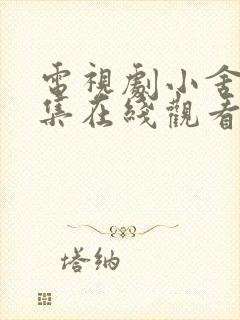 电视剧小舍得全集在线观看免费