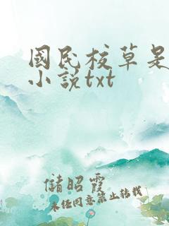 国民校草是女生小说txt 国民校草是女生小说txt