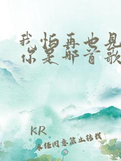 我怕再也见不到你是哪首歌的歌词