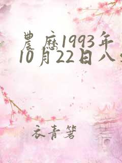 农历1993年10月22日八字怎样