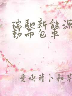 瑞驰新能源纯电动面包车