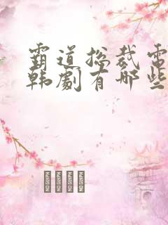 霸道总裁电视剧韩剧有哪些