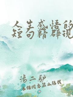 人生感悟的句子短句精辟现实