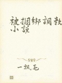 被捆绑调教高潮小说