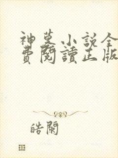 神墓小说全文免费阅读正版