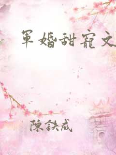 军婚甜宠文