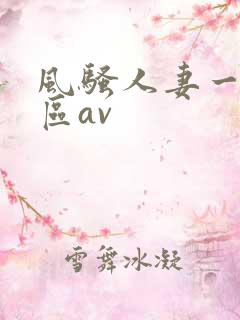 风骚人妻一区二区av