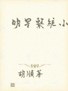 明星系统小说