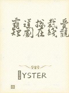 霸道总裁爱上我短剧在线观看免费高清