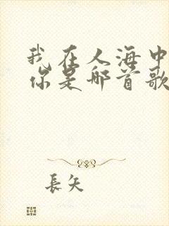 我在人海中遇见你是哪首歌的歌词