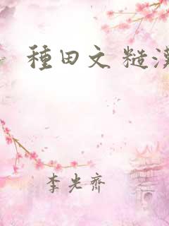 种田文 糙汉