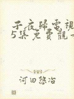 子夜归电视剧25集免费观看