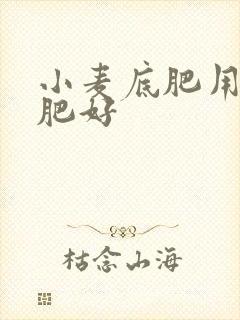 小麦底肥用什么肥好 小麦底肥用什么肥好