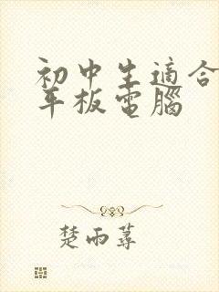 初中生适合什么平板电脑