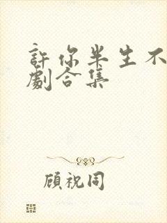 许你半生不见短剧合集