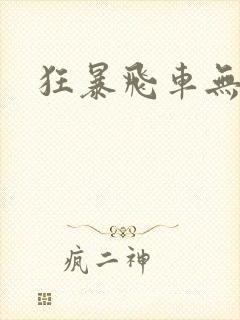 狂暴飞车无删减
