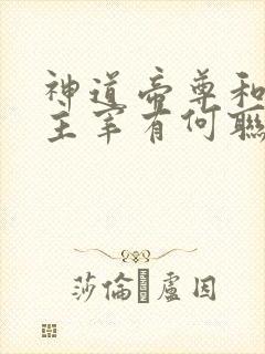 神道帝尊和武神主宰有何联系