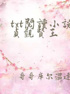txt阅读小说贞观贤王