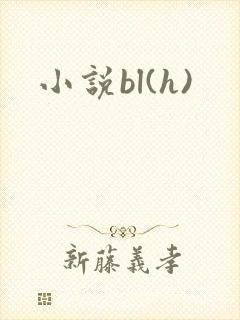 小说bl(h)