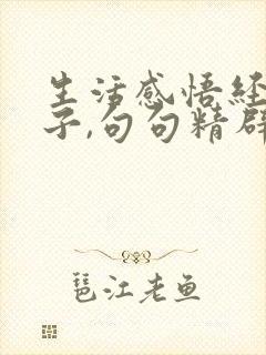 生活感悟经典句子,句句精辟透彻