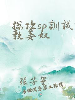 总攻sp训诫调教妾奴