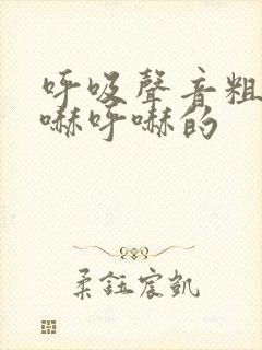 呼吸声音粗重呼哧呼哧的