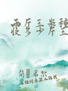 两斤玉米种子能收多少斤玉米