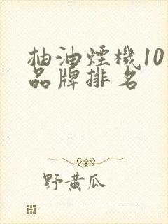 抽油烟机10大品牌排名