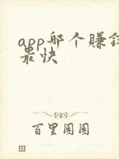 app哪个赚钱最快