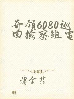 奇领6080巡回检察组电视剧