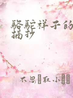 骆驼祥子的美段摘抄