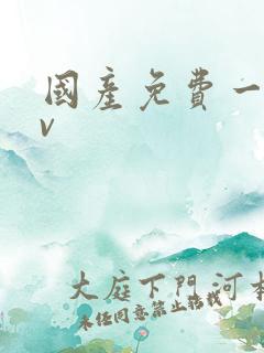 国产免费一区av