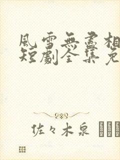 风雪无尽相思情短剧全集免费播放