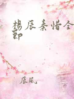 杨辰秦惜全部章节